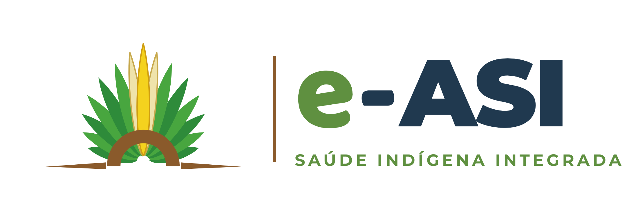 e-ASI, Saúde Indígena Integrada